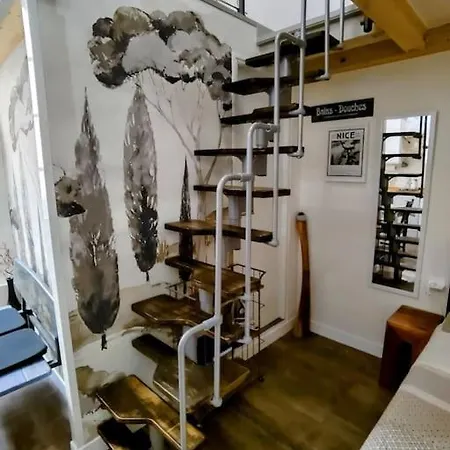 Mimosa Duplex In Old Town, 200m To Nice